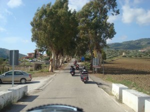 DSC08604  